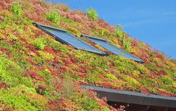Tathwell living roof systems